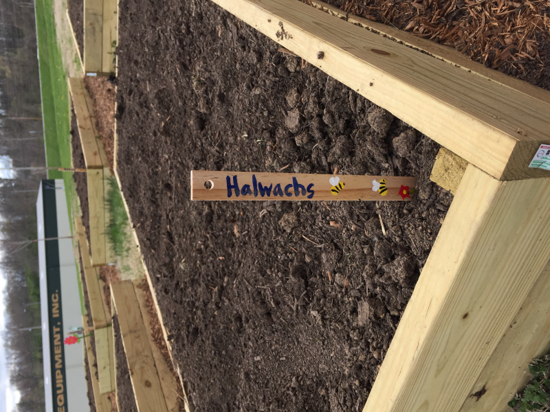 2016 High Mount School Community Garden